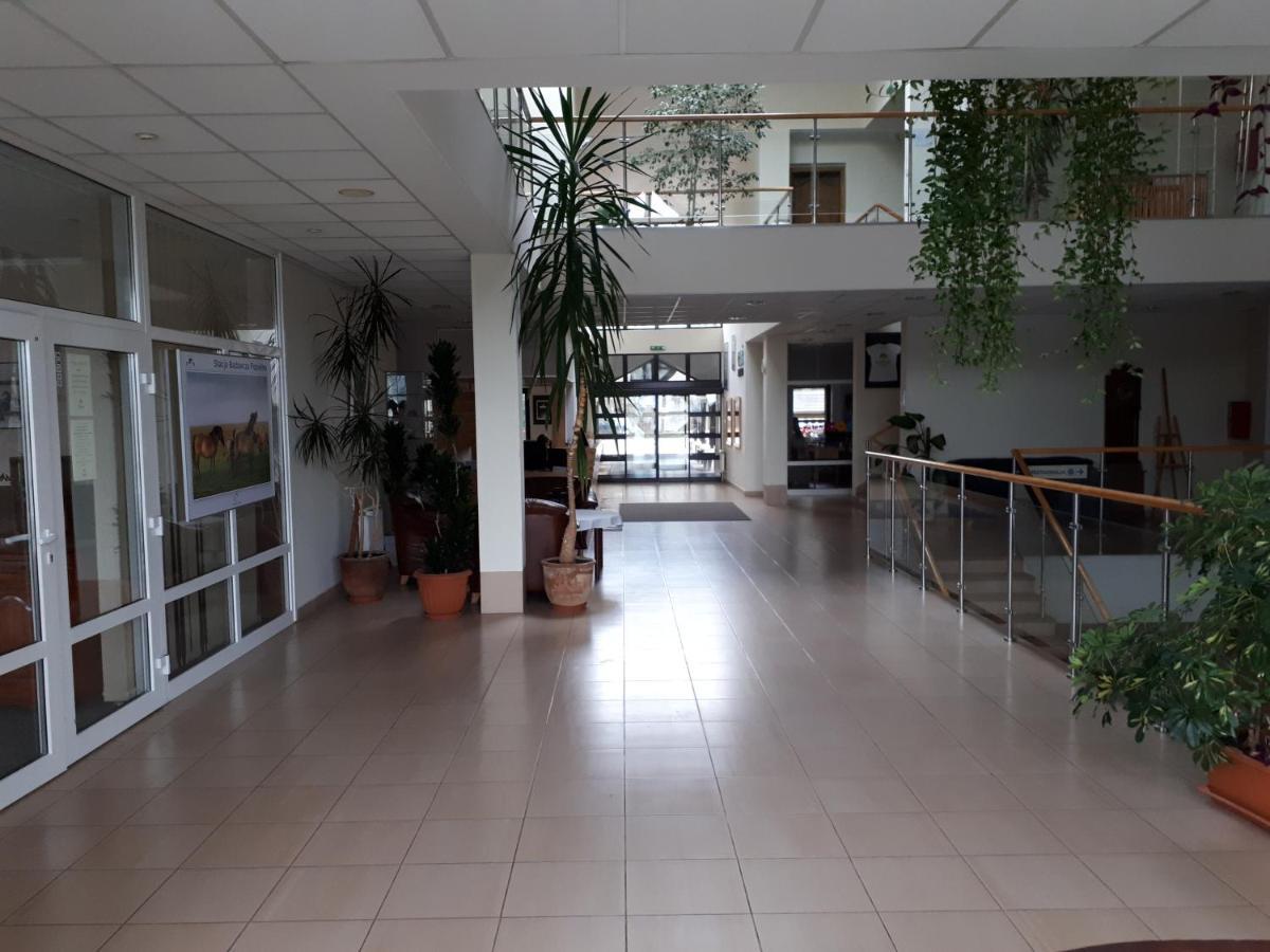 Pan Dom Pracy Tworczej W Wierzbie Wierzba Екстериор снимка